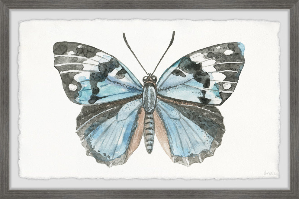 "Wild Butterfly" Framed Painting Print