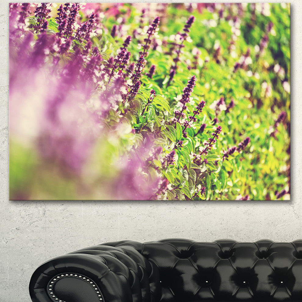 Beautiful Mint Flowers in Garden, Floral Canvas Art Print, 40"x30"