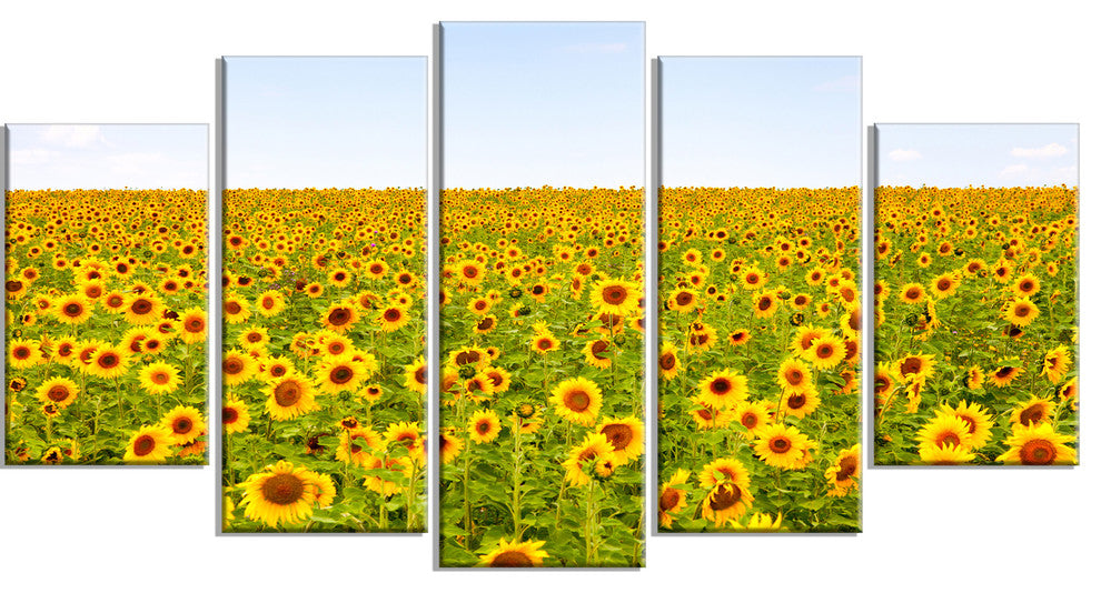 Beautiful Sunflowers Garden, Floral Canvas Art Print, 60"x32", 5 Panels