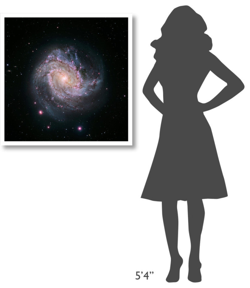 "M83 - Spiral Galaxy (Hubble-Magellan Composite)" Paper Print by NASA, 32"x32"