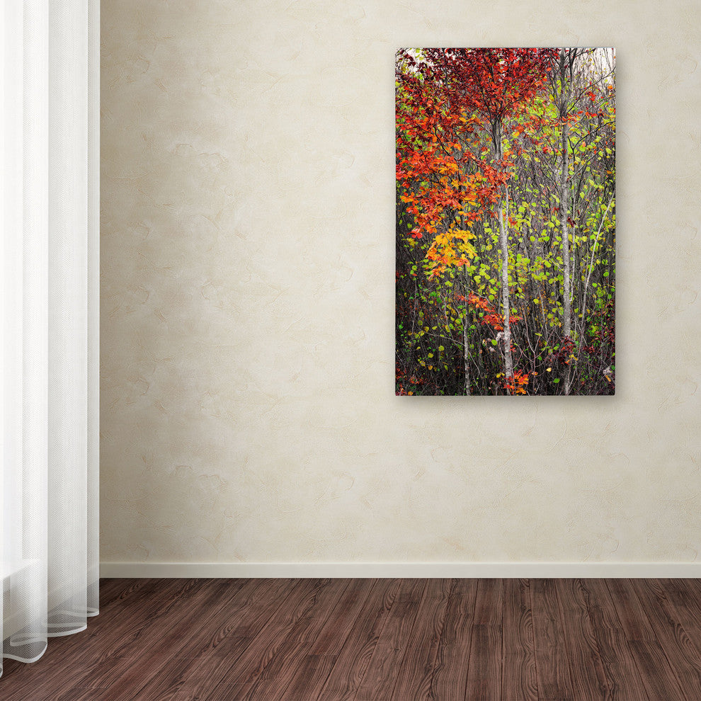 ''Colour Touch'' Canvas Art by Philippe Sainte-Laudy