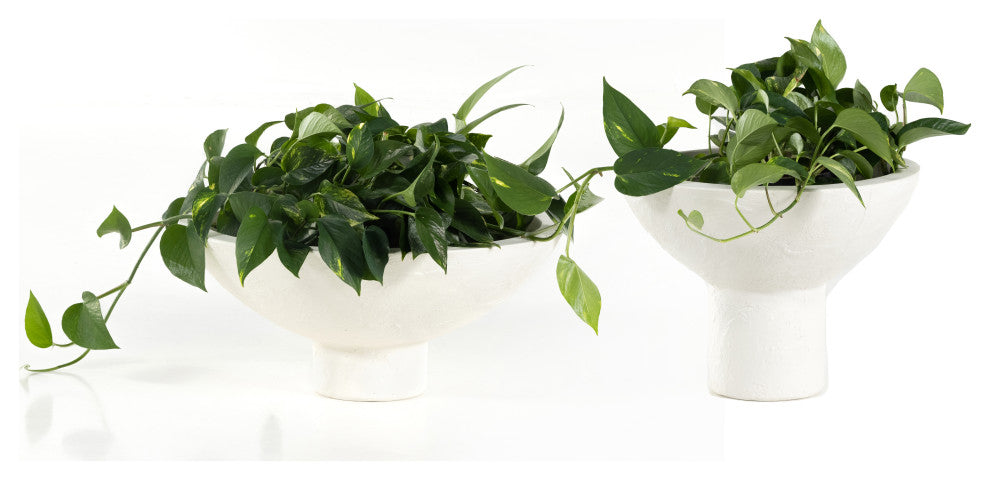 Pressler Outdoor Planter, Set 2-Plaster