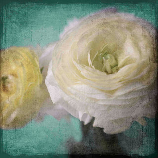 "Yellow Ranunculus" Painting Print on Canvas by Stalus