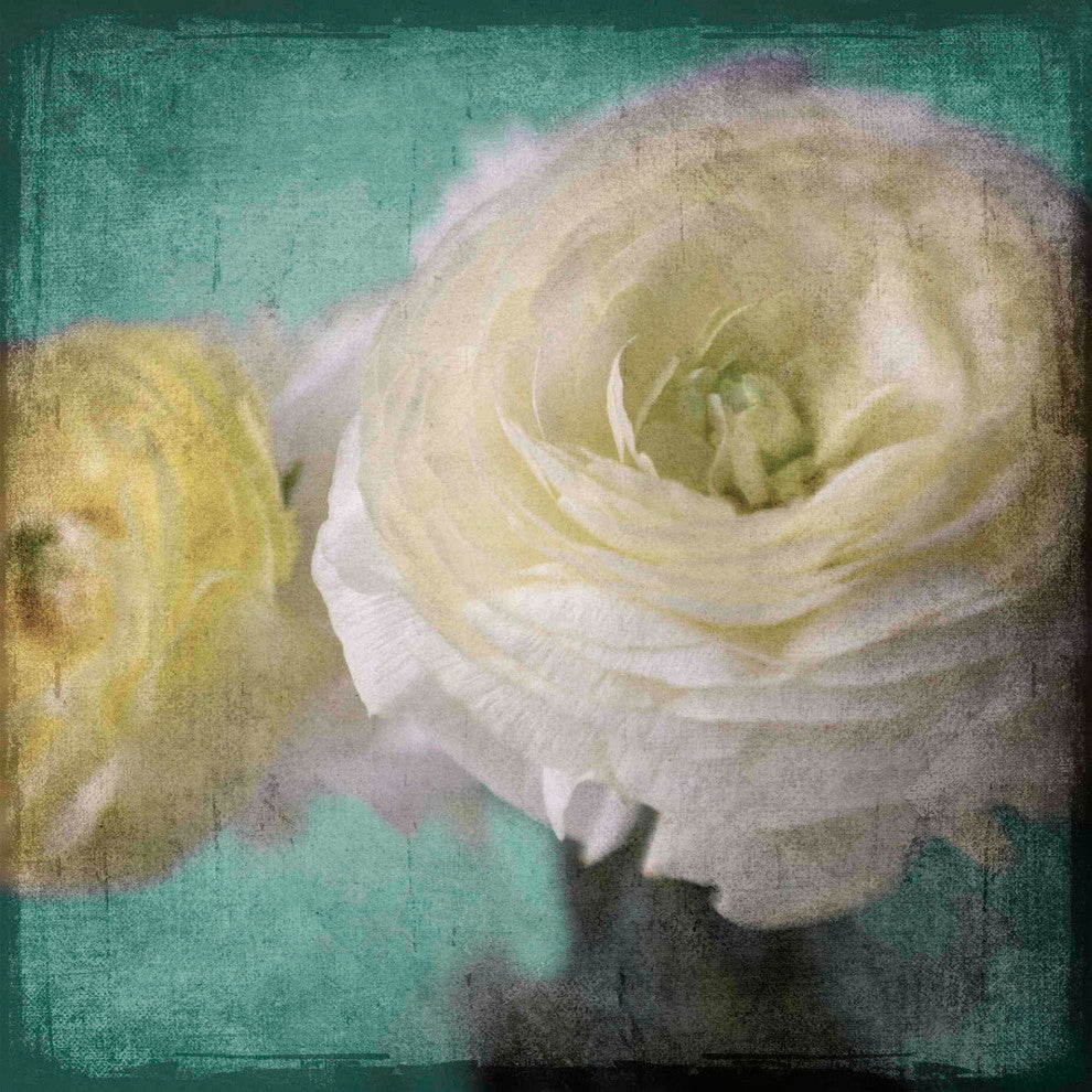 "Yellow Ranunculus" Painting Print on Canvas by Stalus