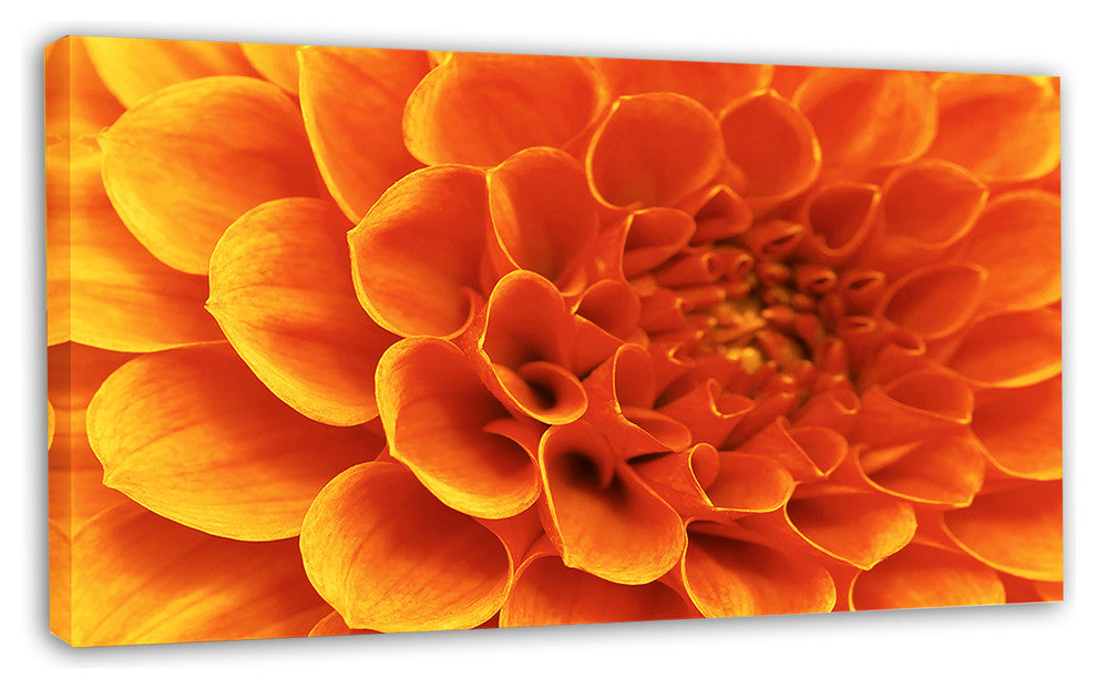 Large Orange Flower and Petals, Floral Canvas Art Print, 32"x16"
