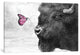 "Bison and Butterfly" by Eric Fan, 40x26x1.5