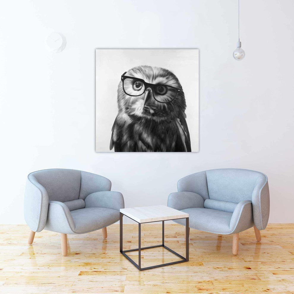 Realistic Northern Saw-Whet Owl With Glasses Print On Wrapped Canvas, 36"x36"
