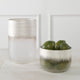 Uttermost Frost Silver Drip Glass Vases, Set of 2