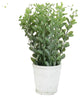 Green Faux Floral Assorted Herb Plants 3-Piece Set