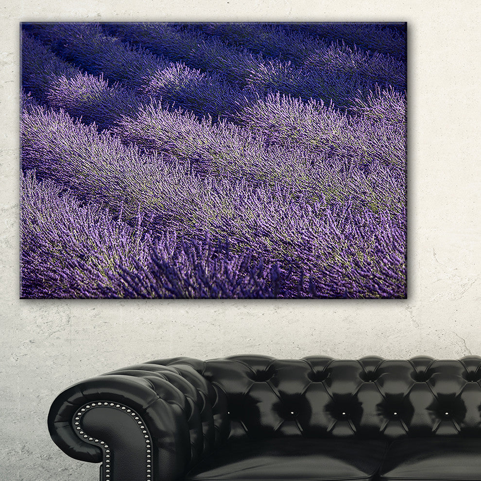"Lavender Field and Ray of Light" Landscape Wall Art Print, 40"x30"