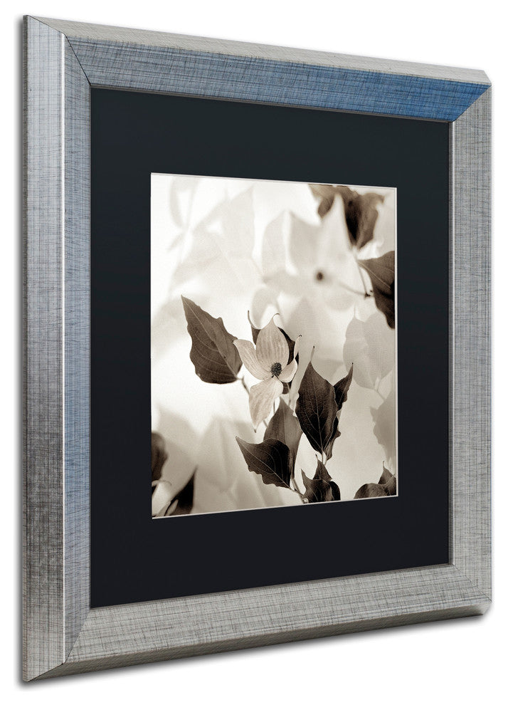Alan Blaustein ''Florison 54'' Art, Silver Frame, Black Mat, 16x16