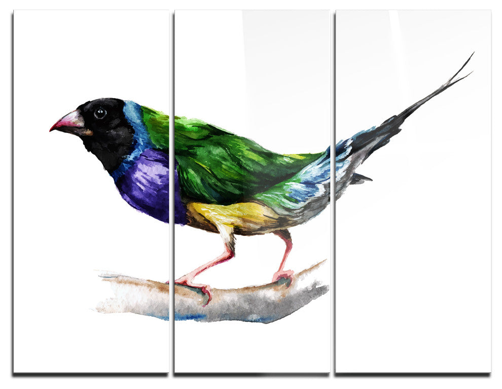 "Gould Finch" Painting Metal Wall Art, 3 Panels, 36"x28"