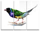 "Gould Finch" Painting Metal Wall Art, 3 Panels, 36"x28"