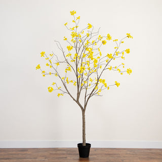 Full product pictured on a solid white background, front-facing, no text — primary product image