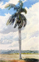 Charles De Wolf Brownell Royal Palm, 18"x27" Wall Decal Print