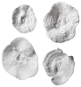 Sea Coral Wall Decor, Set of 4