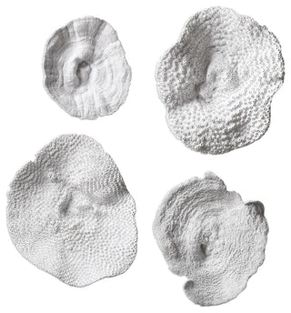 Sea Coral Wall Decor, Set of 4