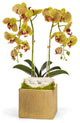 Doubl White Orchid in Gold Square, Green