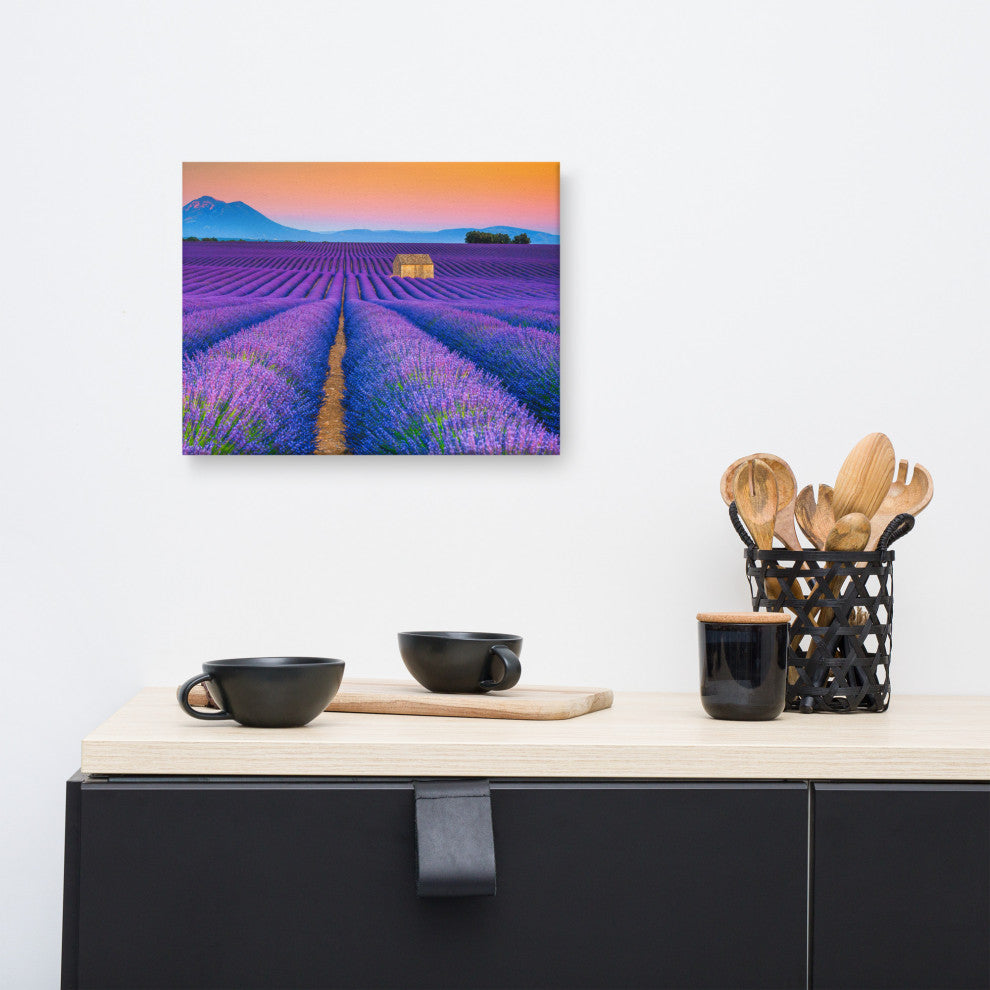 Blooming Lavender Field and Sunset Landscape Photo Canvas Prints, 12" X 16"