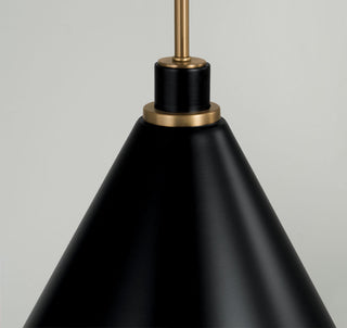 Capital Lighting Bradley 1-Light Pendant 350112AB Aged Brass and Black