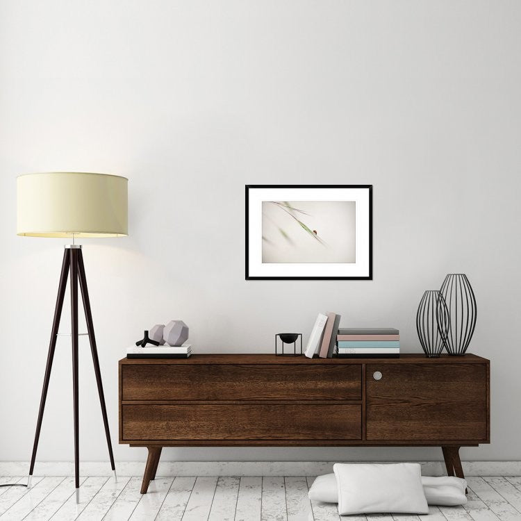 "Untitled" Framed Digital Print by Anna Cseresnjes, 30x22"