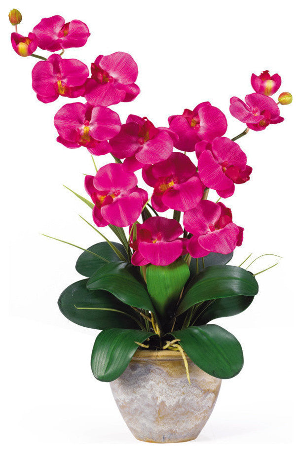 Double Phalaenopsis Silk Orchid Flower Arrangement, Beauty