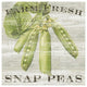 "Farm Fresh Peas" Digital Paper Print by Sue Schlabach, 32"x32"