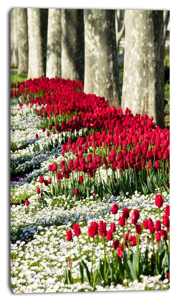 Wild Tulip Flowers in Forest Pasture, Floral Canvas Art Print, 16"x32"