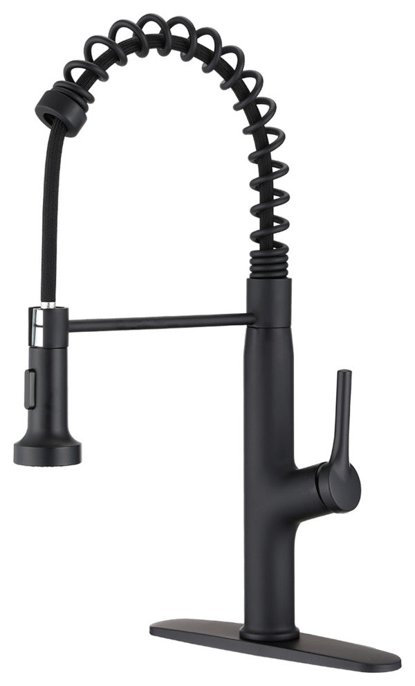 Single Handle Deck Mounted Spring Neck Kitchen Faucet with Pull out Sprayer, Mat