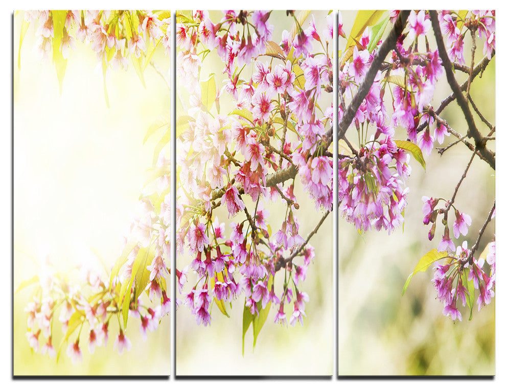 "Blooming Cherry Flowers" Photography Metal Wall Art, 3 Panels, 36"x28"