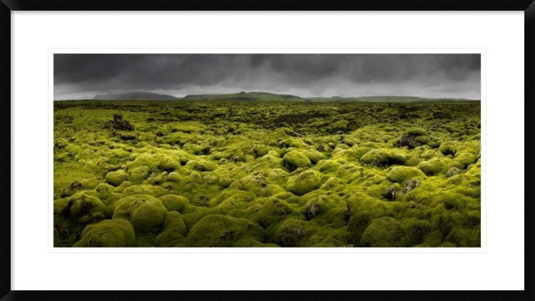 "Islandmoos I" Framed Digital Print by Franz Schumacher, 38x21"