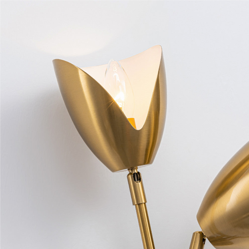 Splay 2 Light Wall Sconce Brass