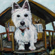 "Dash In Cabin" Painting Print on Canvas by Tori Campisi