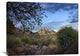 "Organ Mountains Near Las Cruces, New Mexico" Artwork, 32" x 24"