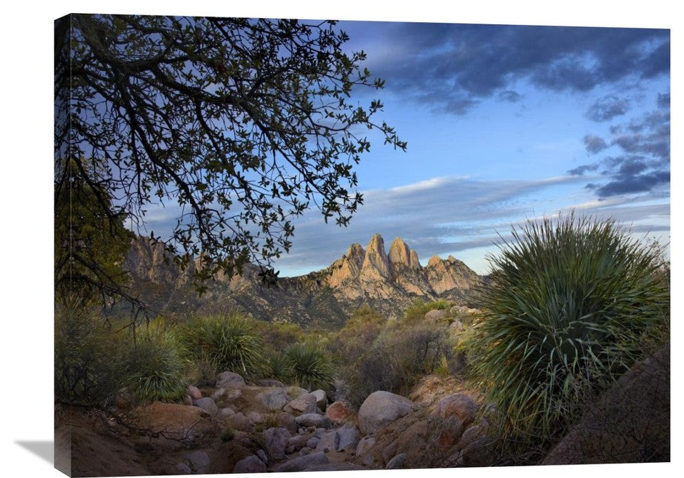 "Organ Mountains Near Las Cruces, New Mexico" Artwork, 32" x 24"