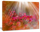 Sunlight Over Small Red Flowers, Large Floral Canvas Artwork, 40"x30"