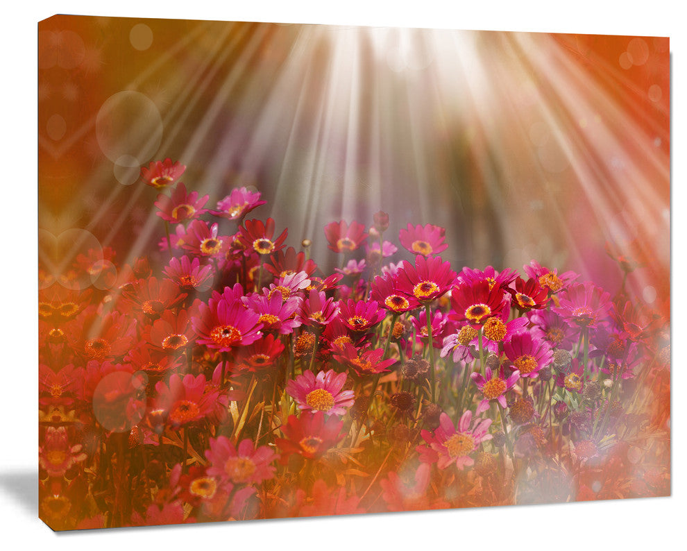 Sunlight Over Small Red Flowers, Large Floral Canvas Artwork, 40"x30"