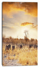 African Zebras Walking in Row, African Landscape Canvas Art Print, 16"x32"