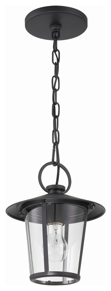 Andover 1-Light Matte Black Outdoor Chandelier
