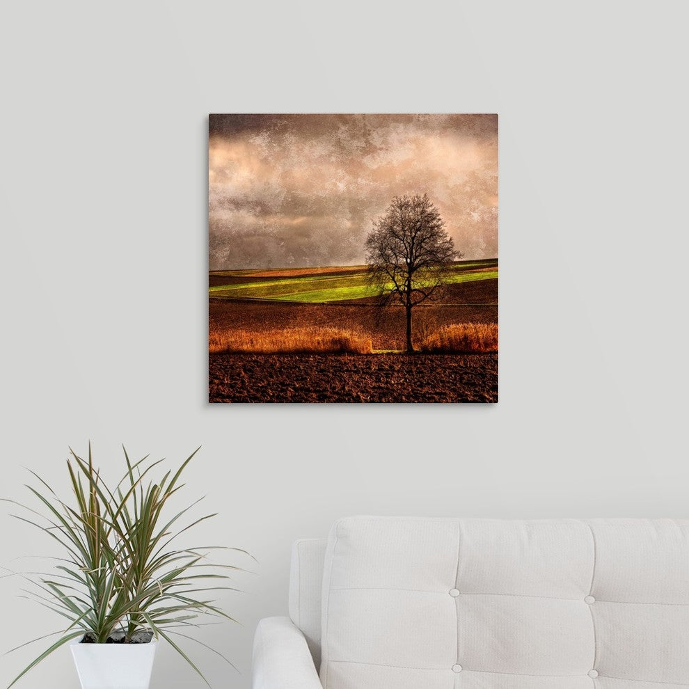 "Van Goghs Mind" Wrapped Canvas Art Print, 20"x20"x1.5"