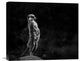 "The Meerkat" Stretched Canvas Giclee by Greetje Van Son, 22"x18"