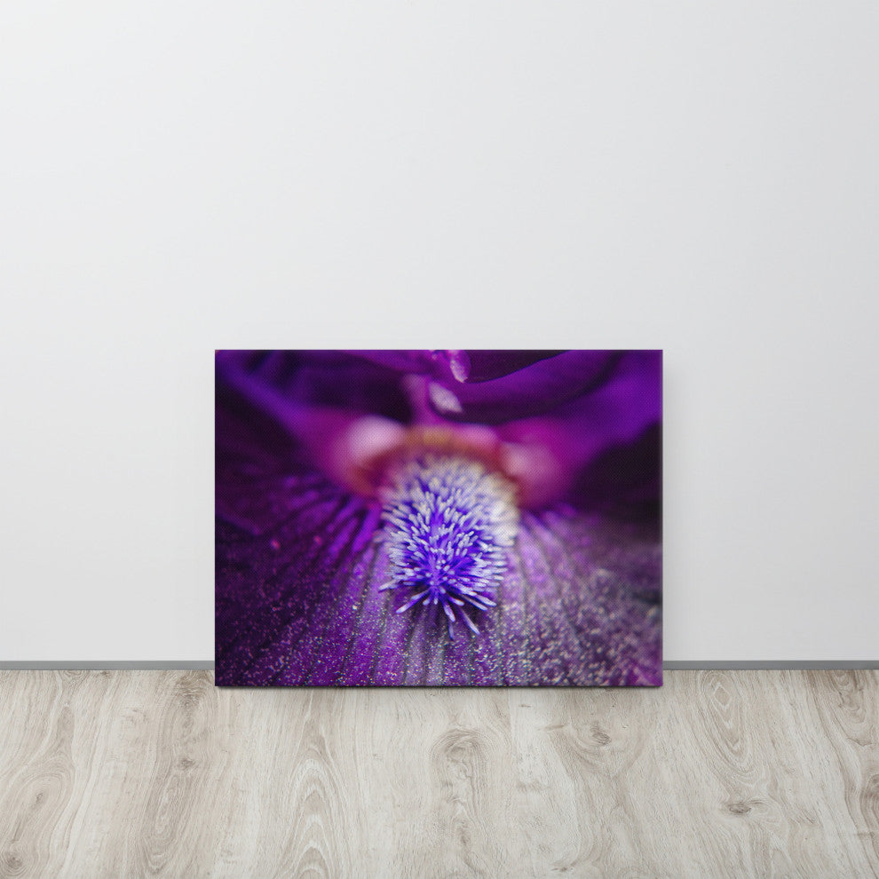 Eye of Iris Floral Nature Photography Canvas Wall Art Print, 18" X 24"