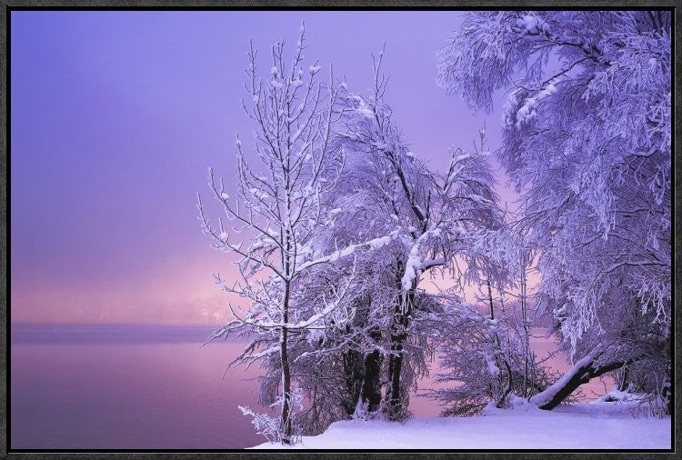 "Stillness" Framed Canvas Giclee by Norbert Maier, 25x17"