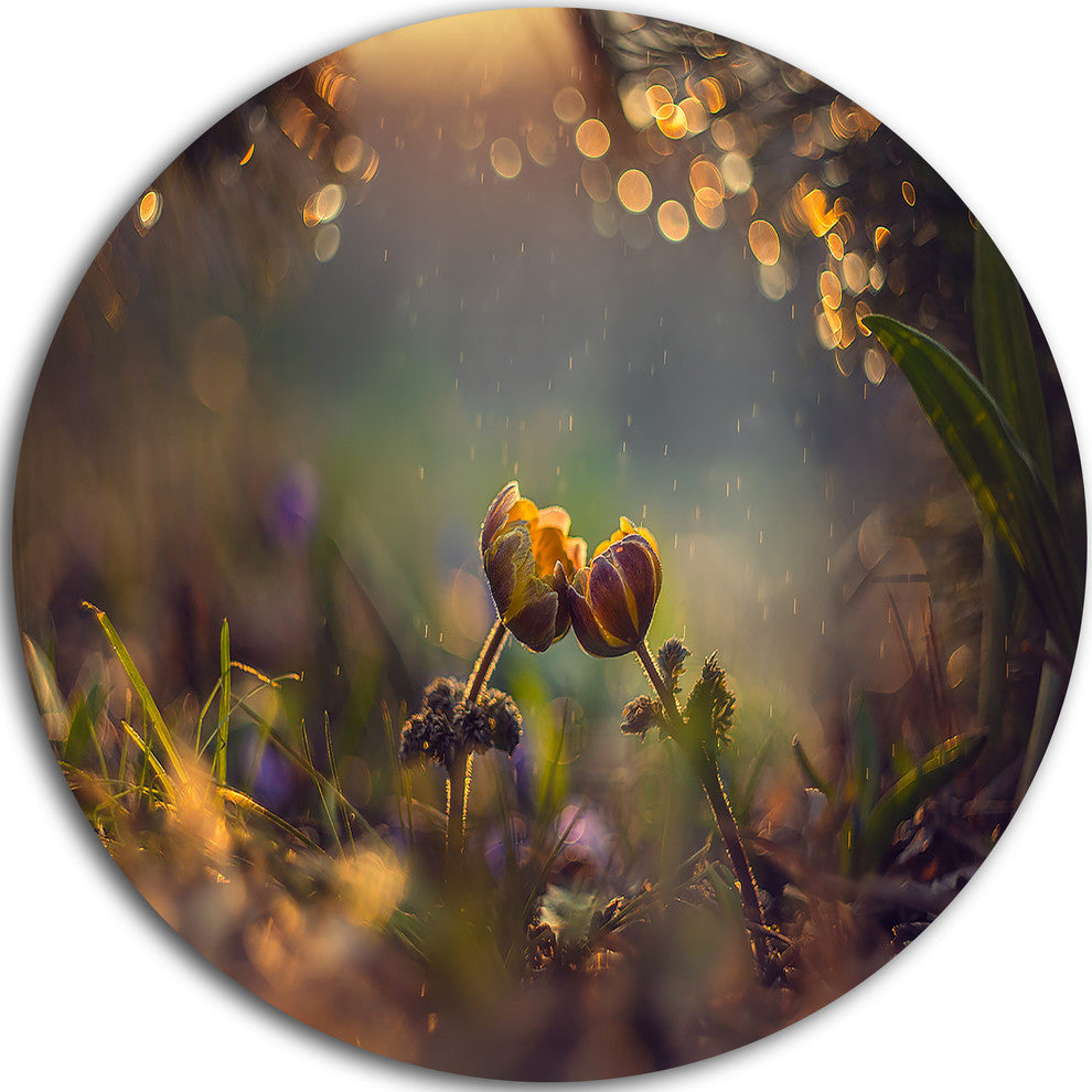 Two Spring Flowers, Floral Photography Round Wall Art, 23"