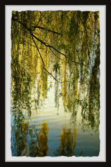 "Vines and Branches" Framed Painting Print, 24x36