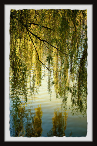 "Vines and Branches" Framed Painting Print, 24x36