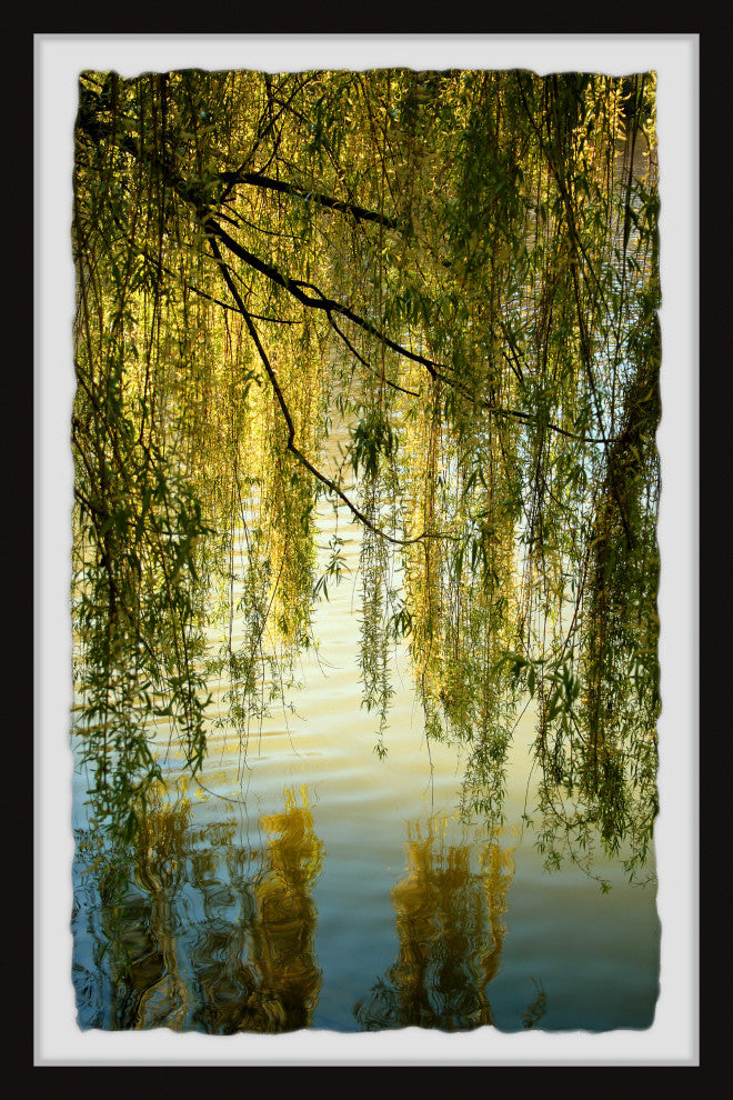 "Vines and Branches" Framed Painting Print, 24x36