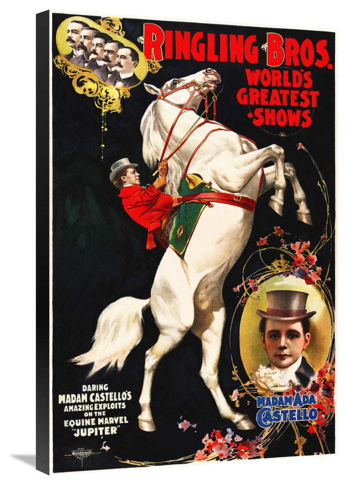 Madam Ada Castello And Jupiter, Poster For Ringling Brothers, Ca,  1899, 20x30