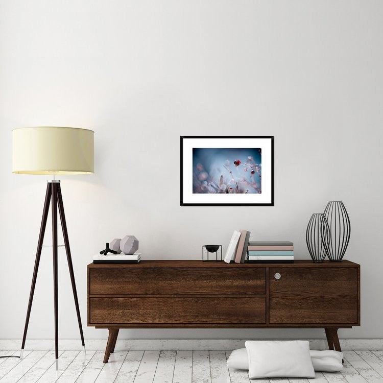 "High Diving" Framed Digital Print by Fabien Bravin, 30x22"