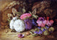 Vincent Clare Asters Pansies And Violets, 18"x27" Wall Decal